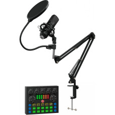 Микрофон Oklick Оклик SM-600G 2,5м черный