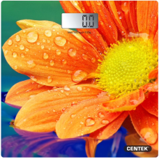 Весы напольные CENTEK CT-2420 гербера