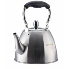 Чайник Hoffmann HM-55205  1л